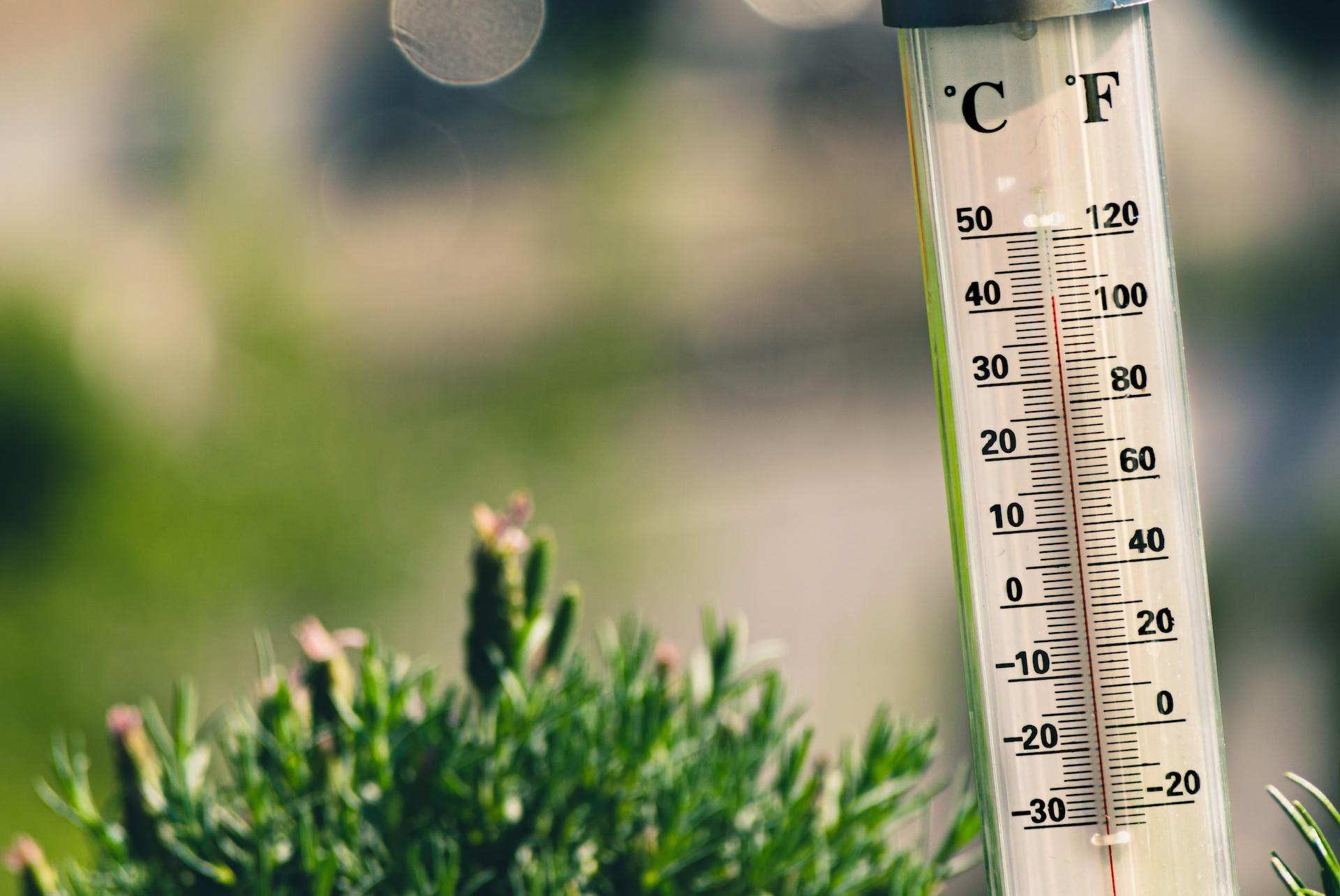 bokeh photography of thermometer on plant